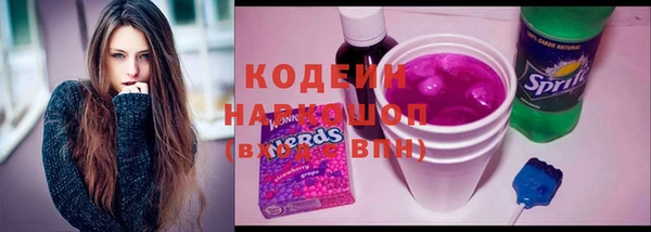 дмт Богданович