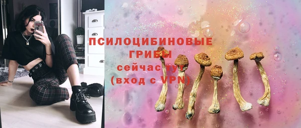 гашиш Новодвинск