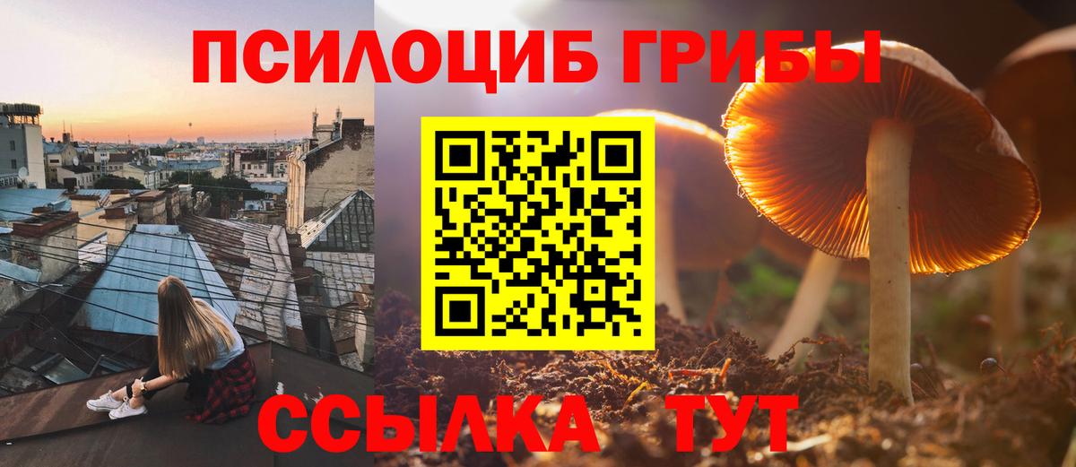 Галлюциногенные грибы Cubensis  Вход с VPN  Ирбит  Галлюциногенные грибы Psilocybine cubensis 